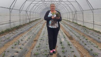 Photo of ФАО помогает фермерам Косово восстанавливать затопленные земли