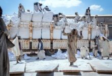 Photo of Украина пожертвовала более 7 тысяч тонн пшеницы Судану