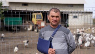 Photo of Семена и удобрения ФАО – в помощь молдавским фермерам