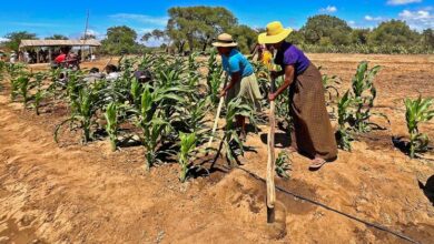Photo of First Person: Water key to cultivating financial independence in southern Madagascar