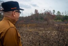 Photo of Indonesia leads the way in taming forest fires