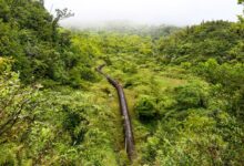 Photo of Could the answer to 100% renewable energy in Dominica be under the ground?