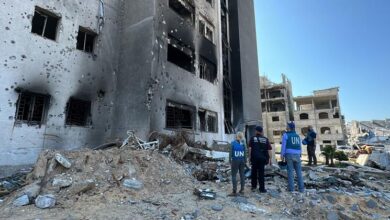 Photo of На обезвреживание неразорвавшихся боеприпасов в Газе может уйти 14 лет