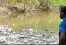 Photo of Polluting rivers, beaches and the ocean: How can Trinidad solve its plastics problem?