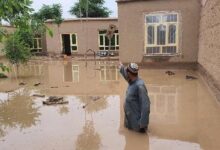 Photo of Наводнения в Афганистане: ООН предоставляет гуманитарную помощь пострадавшим