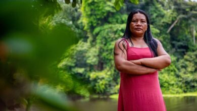 Photo of Indigenous Day celebrates ‘guardians of the environment’