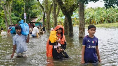 Photo of Half the world lacks social protection amid climate crisis, ILO warns