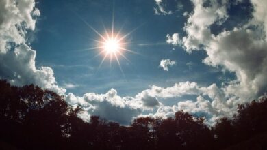 Photo of Climate change: Ozone layer still well on track for full recovery