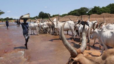 Photo of Climate crisis: Satellites and AI offer hope for global action, says UN weather agency