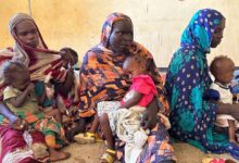 Photo of World News in Brief: Famine in Sudan, 400,000 now in Syria from Lebanon, women in the military, olive farmers in Palestine