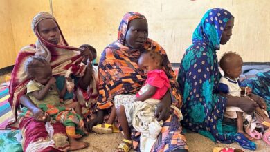 Photo of World News in Brief: Famine in Sudan, 400,000 now in Syria from Lebanon, women in the military, olive farmers in Palestine