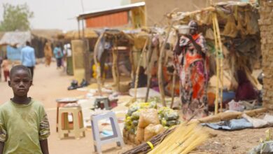 Photo of Sudan: UN urges immediate action to stop fighting in El Fasher