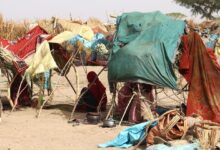 Photo of Millions of women and girls forced to flee face high risk of gender-based violence: UNHCR