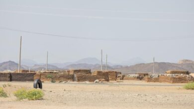 Photo of Sudan: UN official decries attacks against civilians in Al Jazirah state