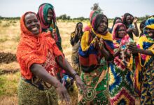 Photo of Live updates: UN tackles desertification, drought and land restoration