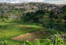 Photo of DR Congo crisis: WFP condemns looting in Bukavu after M23 rebels take key city