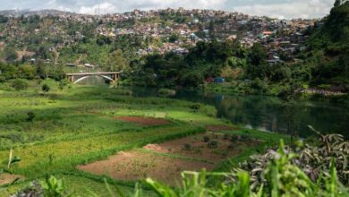 Photo of DR Congo crisis: WFP condemns looting in Bukavu after M23 rebels take key city