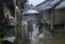 Photo of ‘A litany of human suffering’ in Myanmar, warns UN rights chief
