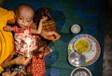 Photo of Bangladesh: Rohingya children’s acute hunger surges amid funding cuts