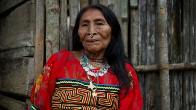 Photo of Indigenous Peoples sidelined in global climate fight, UN warns