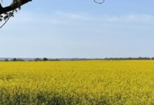 Photo of ПРООН объявляет конкурс для инноваторов из Украины и Молдовы