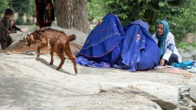 Photo of Afghanistan: Taliban restrictions on women’s rights intensify