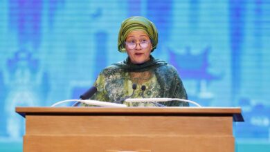 Photo of Partnerships, increased climate investment crucial for sustainable transition, says UN deputy chief