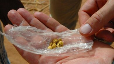 Photo of Organized crime groups increasingly embedded in gold supply chain