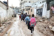 Photo of End senseless killings in the West Bank: UN rights office