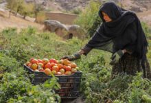 Photo of Afghanistan’s socioeconomic crisis deepens amid crackdown on women’s rights