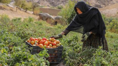 Photo of Afghanistan’s socioeconomic crisis deepens amid crackdown on women’s rights