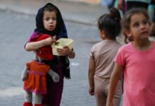 Photo of In Gaza, daily food intake has fallen well below ‘survival’ level