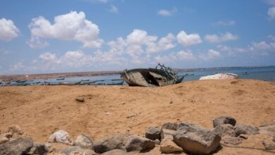 Photo of At least eight drown in Red Sea as smugglers force migrants overboard