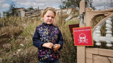 Photo of ‘It is an elephant’: Ukraine’s unexploded mine problem