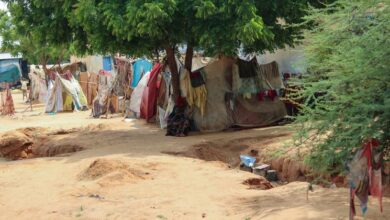 Photo of Sudan: El Fasher mosque and hospital attacks leave at least 20 dead