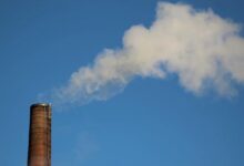 Photo of В ООН призывают активизировать действия по сокращению выбросов метана