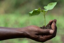 Photo of Slight decrease in global hunger as inequalities widen, UN report reveals