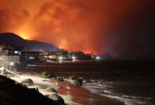 Photo of Record rise in carbon dioxide levels during 2024: UN weather agency