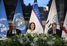 Photo of На полях Генассамблеи ООН обсудили, как повысить выживаемость детей с онкологическими заболеваниями