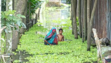 Photo of ‘No end’ expected to floods and storms as global heating continues