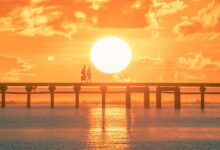 Photo of Три факта, которые нужно знать о тепловом стрессе и о том, как его предотвратить