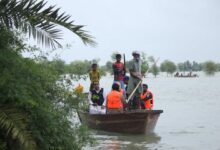 Photo of Саммит ООН по климату: «Чистая энергия конкурентоспособна, климатические действия обязательны»