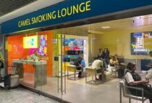 Photo of WHO: Despite smoking decline, tobacco still hooks one in five adults worldwide