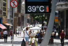 Photo of Миллионы людей по всей планете столкнулись с экстремальной жарой в июле и августе