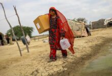 Photo of Gender equality: UN Women calls for political will and accelerated global action