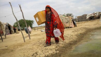 Photo of Gender equality: UN Women calls for political will and accelerated global action