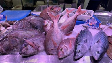 Photo of МАГАТЭ помогает бороться с фальсификацией морепродуктов при помощи ядерных технологий