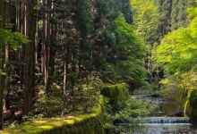 Photo of Главные новости дня | вторник: Украина, Газа, Кыргызстан, леса