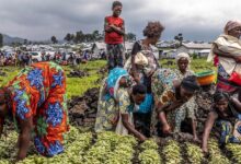 Photo of ОБЪЯСНЯЕМ | Почему более 670 миллионов человек в мире голодают?