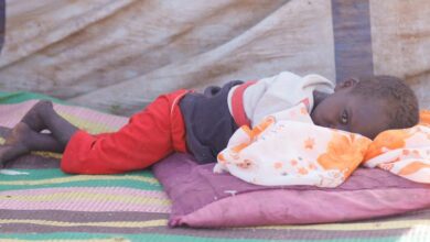 Photo of Risk of large-scale atrocities in Sudan’s El Fasher grows ‘by the day’